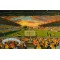 Kassam Stadium Fine Art Print - Oxford United FC